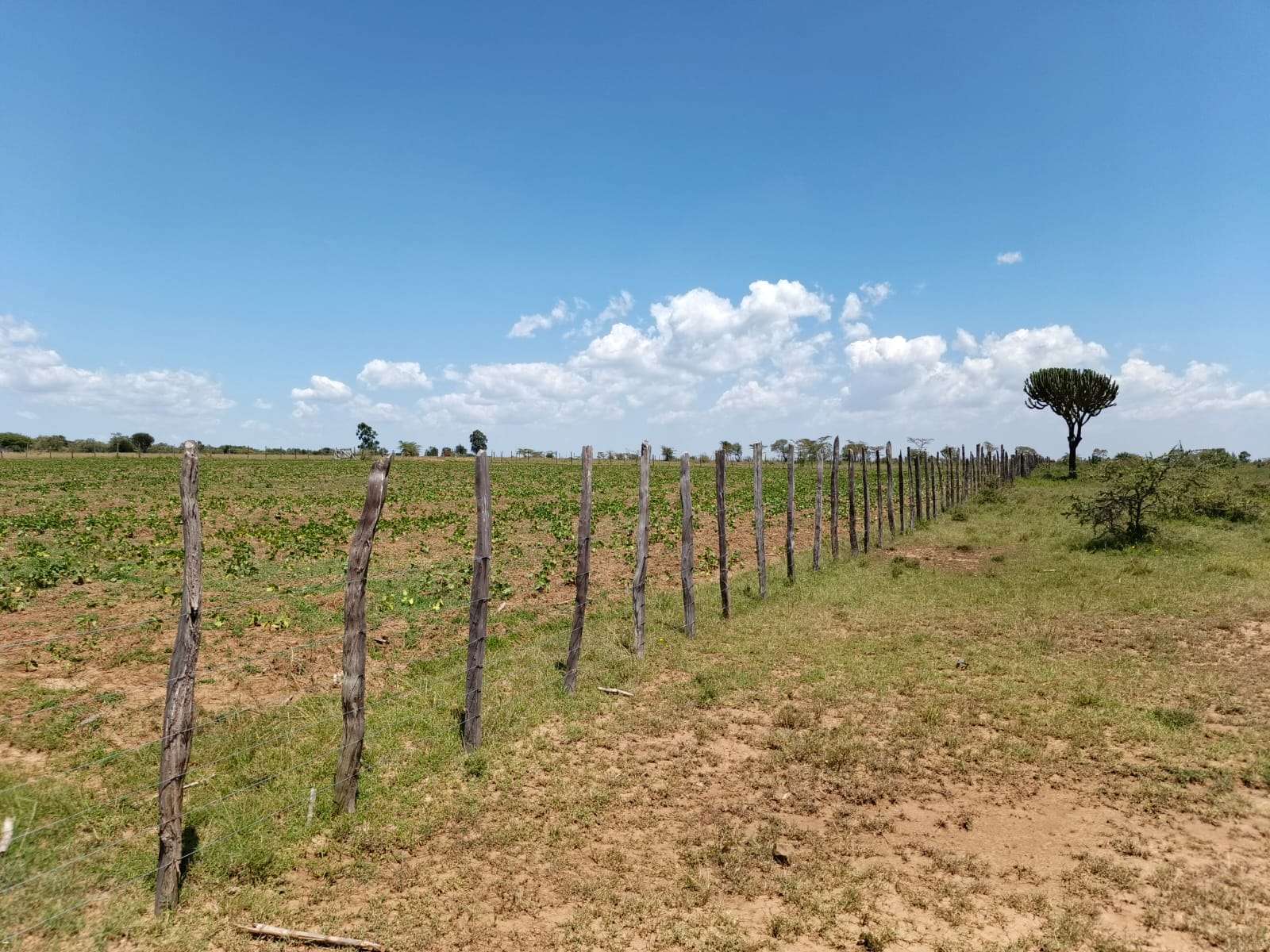 Amani Gardens Phase 2 plot Narok Town
